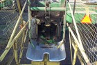 1971 John Deere 336