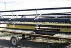1999 Honey Bee SP25