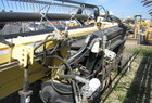 1999 Honey Bee SP25