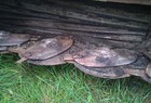 1999 Case IH 8312