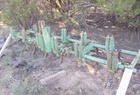  John Deere CUSTOM DIAMOND FRAME CHISEL PLOW