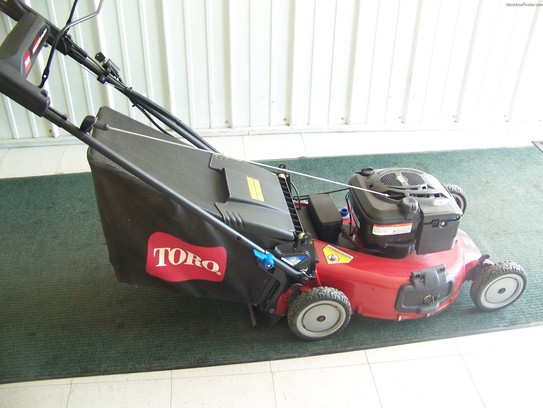 2010 Toro 20095