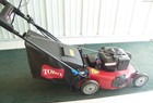 2010 Toro 20095