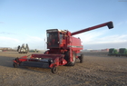 1984 Case IH 1480