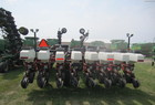 2006 White 8524