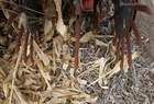  Yetter 3530