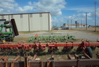  Other Lilliston 8 row 5 spiders