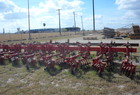  Other Lilliston 8 row 5 spiders