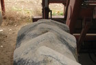 1995 Case IH 5250