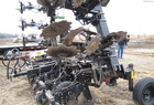  Yetter 12 ROW STRIP TILL