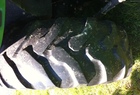  John Deere 12.5/80-18 R4