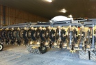 2010 Zone E Soil Warrior