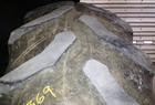  Goodyear 480/80R42