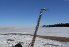  Rowse 290