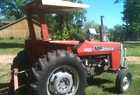 1981 Massey - Ferguson 255