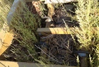 2000 Schmeiser TILLA BED