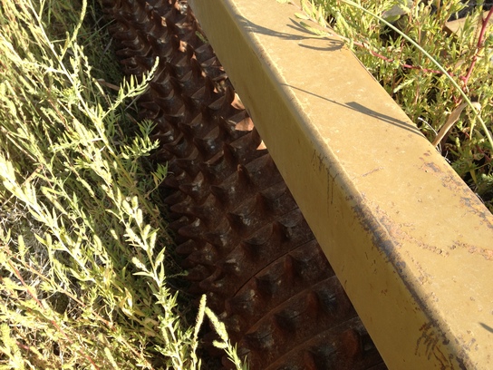 2000 Schmeiser TILLA BED