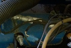 2008 Kinze 3800