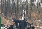  Bobcat 7753