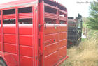 2006 Other CORN PRO GN16